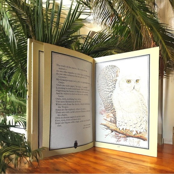 VINTAGE Owls Hardcover Book - 1982 Edition w/ Dust Jacket + Forgotten Bookmark - Picture 5 of 9